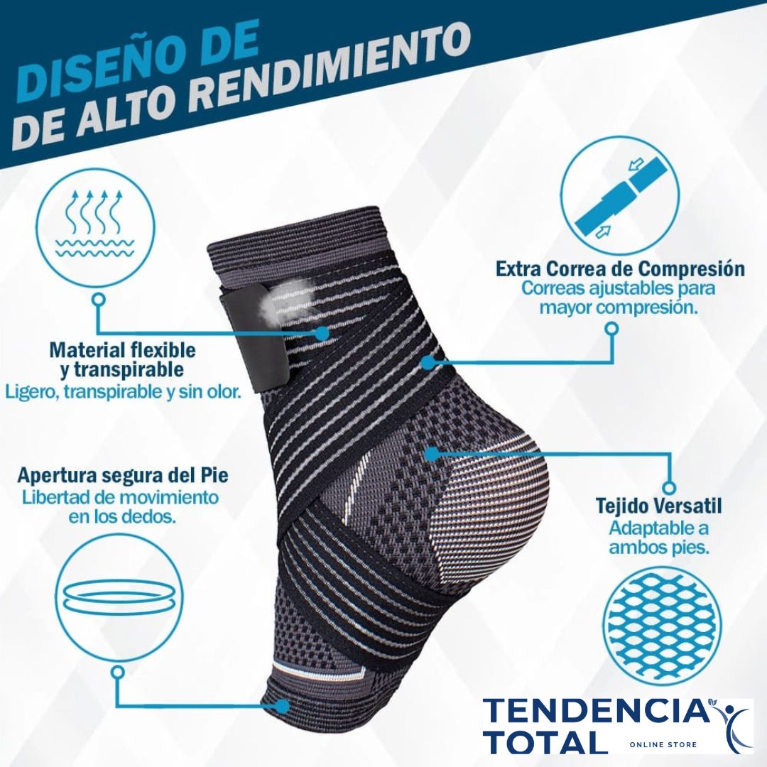 Encabezado