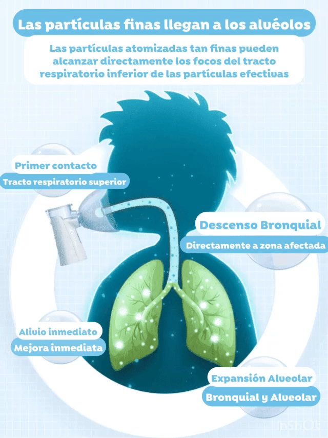 Encabezado