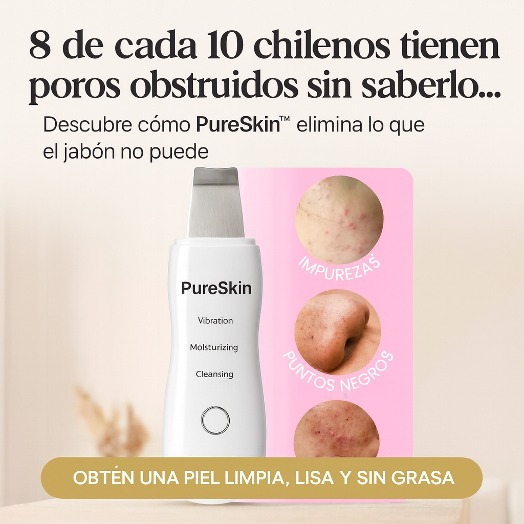 Encabezado