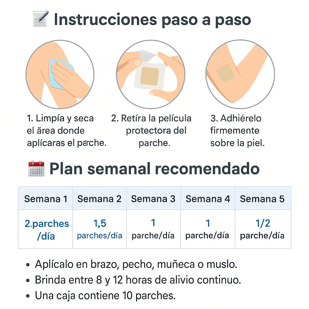 Encabezado
