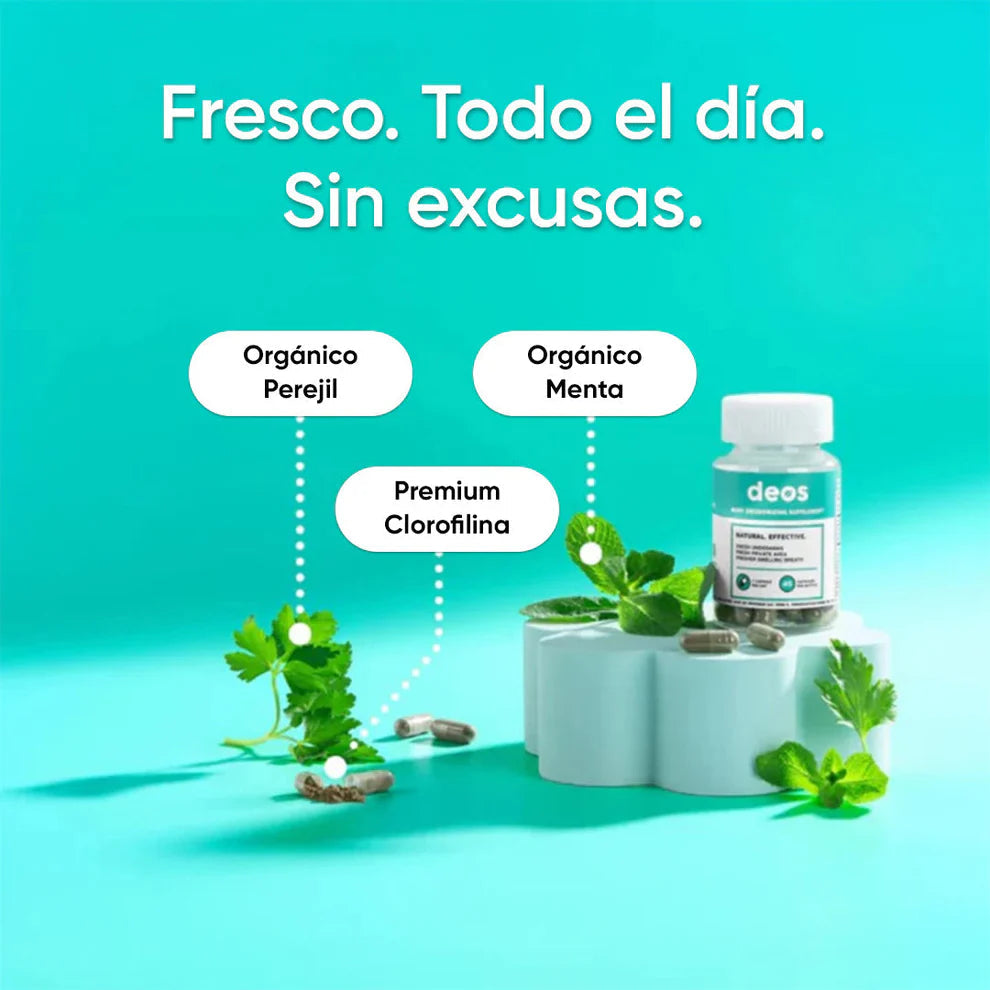 Encabezado