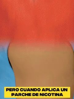 Encabezado