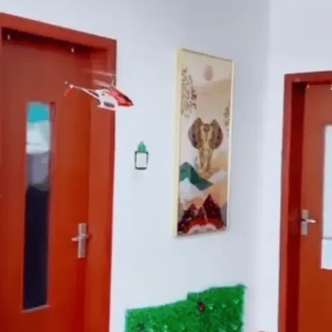 Encabezado