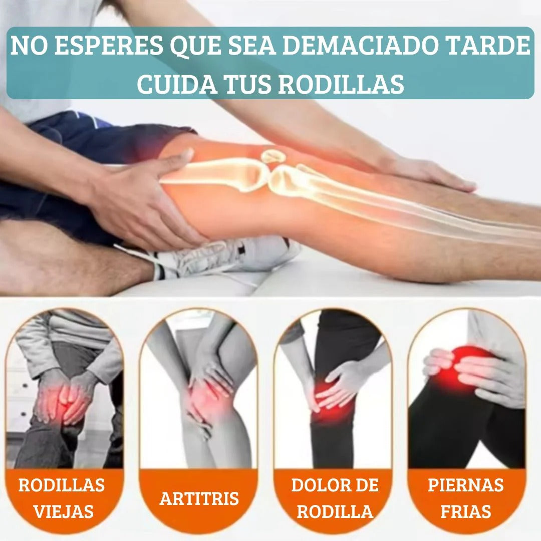 Encabezado