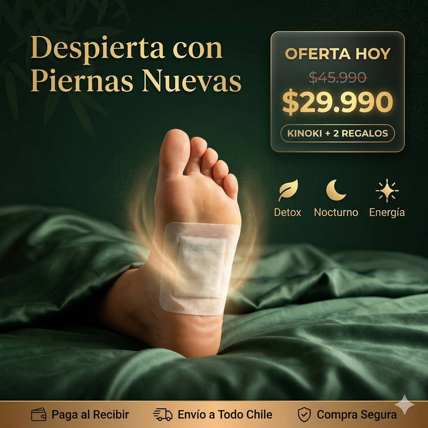 Pack Vitalidad Articular & Detox